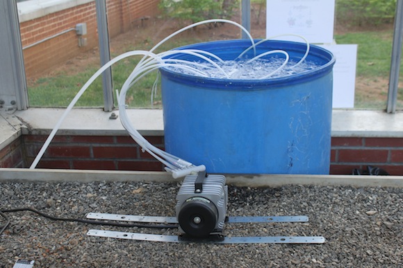 Aquaponics 04 Before the water even enters the fish tank, this machine dechlorinates it. Photo by Ben Haines.