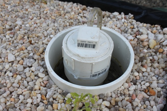 Aquaponics 06 This filter cleans the water in the gravel bed so it can be recirculated into the fish tank. Photo by Ben Haines.