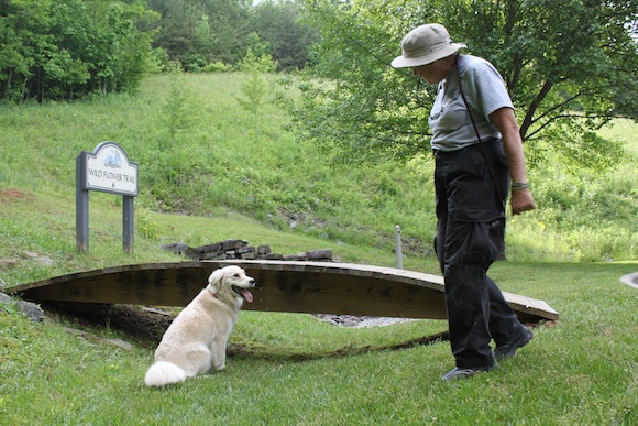 Cadaver Dog Training 02 Bridget gives her trained final response, sitting, after correctly determining that the source of human decomposition odor is beneath the bridge. Photo by Ben Haines.