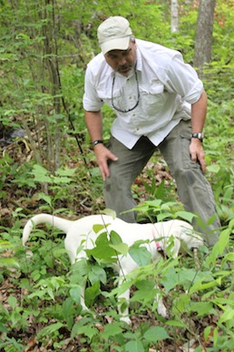 Cadaver Dog Training 04 Brad Dennis praises Gracie after she sniffed out the trash bag emanating human decomposition odor. Photo by Ben Haines.
